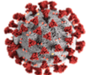 coronavirus-image