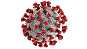 coronavirus-image