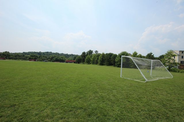 Soccer field with two white goals from top of field