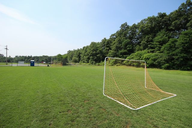 Soccer field with goals