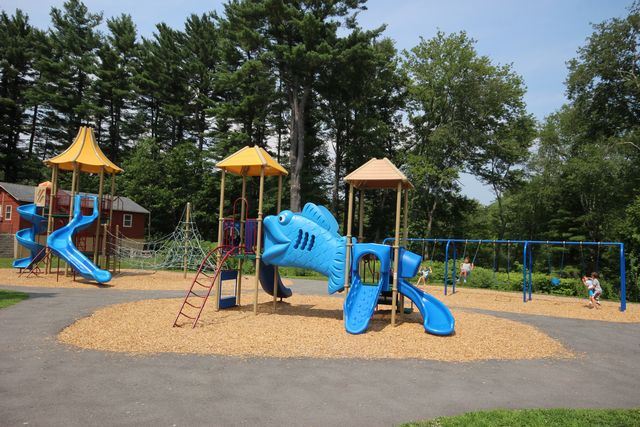 Fish jungle gym and slide