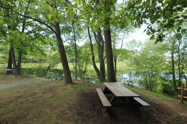 Picnic bench under trees beside pond