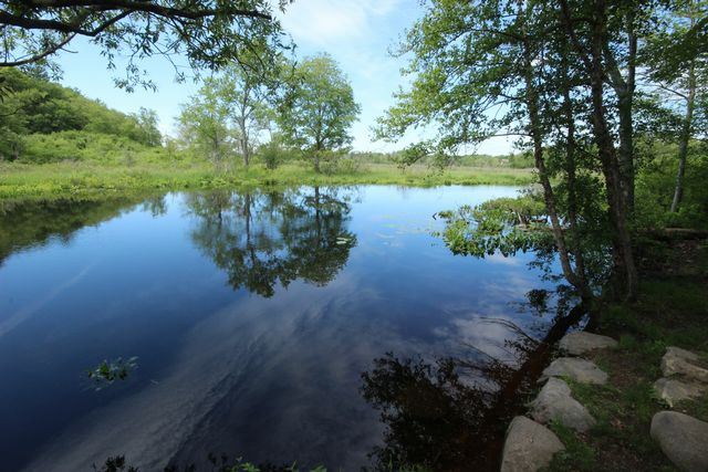 Side view of rock steps leading to pond
