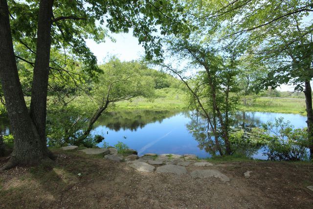 Pond with trees overhanging