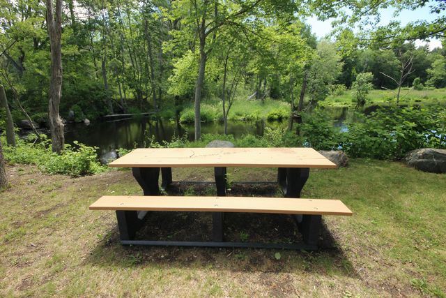 Blonde wooden bench by water surrounded by trees