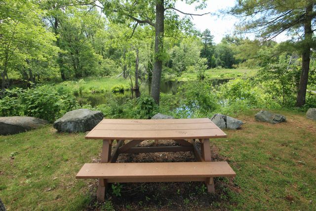 Brown picnic bench beside creek with surrounding trees