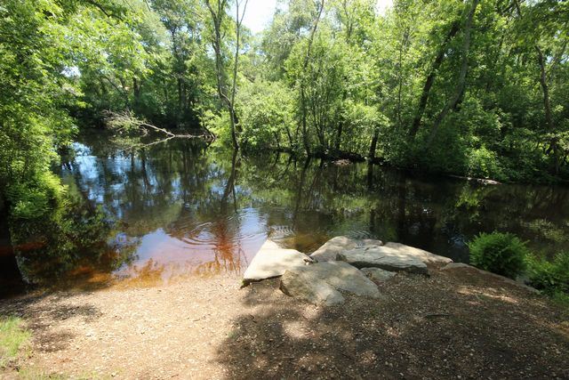 Rocky shore leading to body of water surrounded by trees