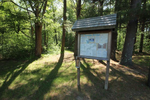 Thunderbridge informational display board in wooded shady area