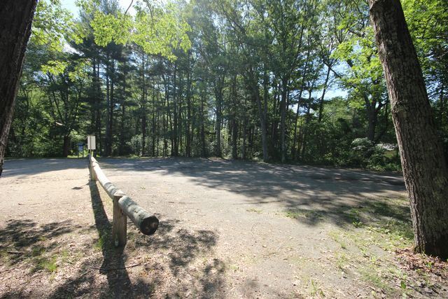 Thunderbridge gravel parking lot surrounded by trees